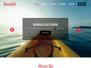 Dandeli Tours